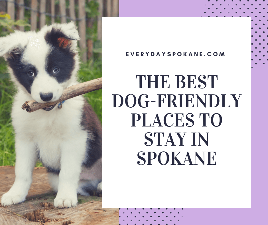 Looking for dog-friendly accommodations in Spokane? Here are 9 dog-friendly options for you, plus what to do with Fido while you're here!