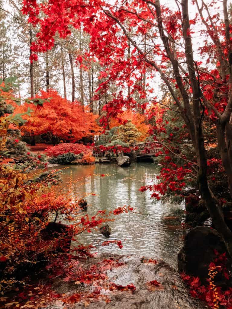 Manito Park in the South Hill in fall