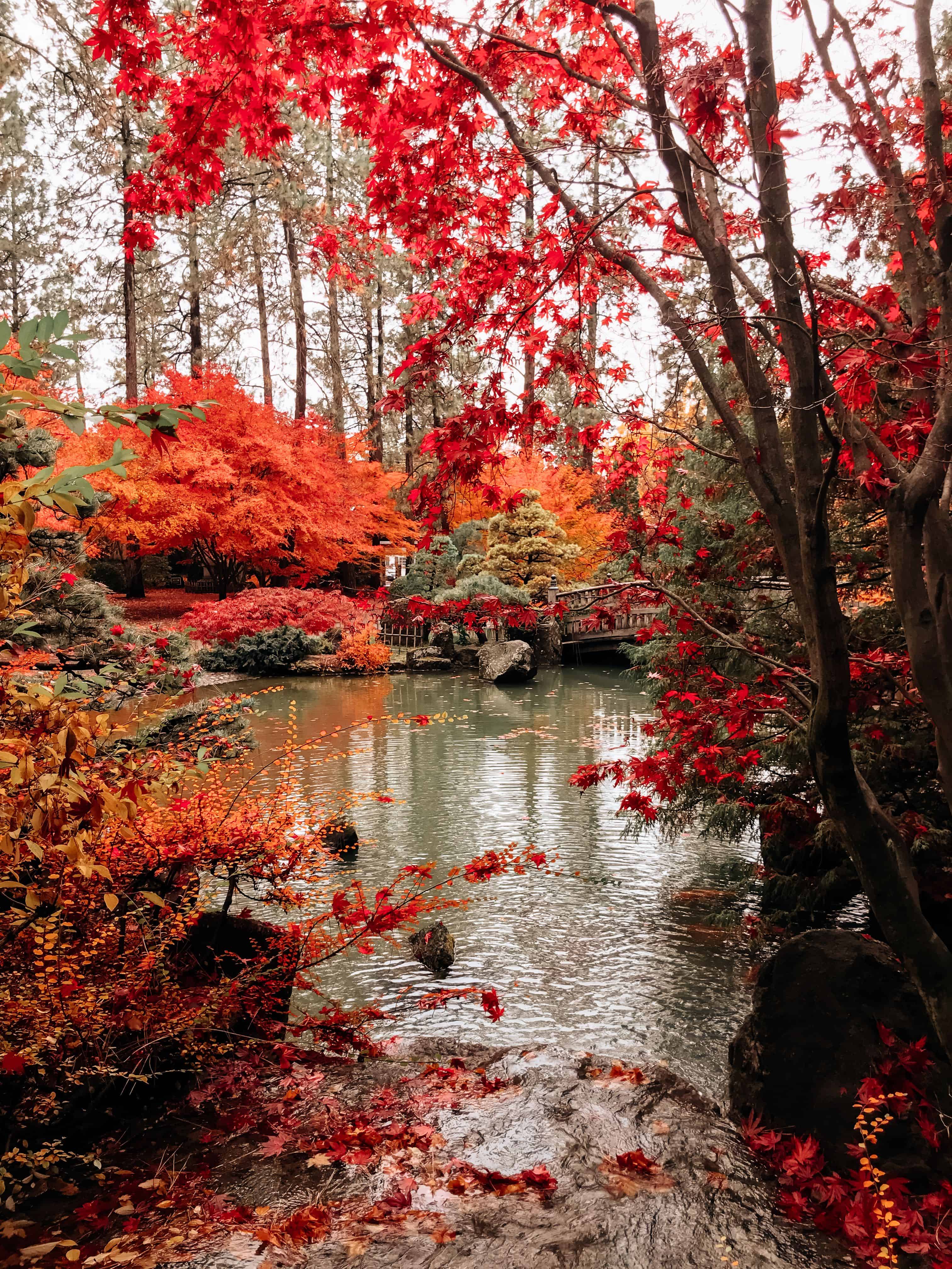 14 Beautiful Places to See Fall Colors in Washington State - Everyday  Spokane