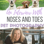 an interview with angela of noses and toes pet photography