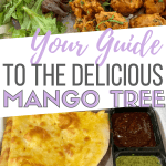 mango tree downtown spokane review