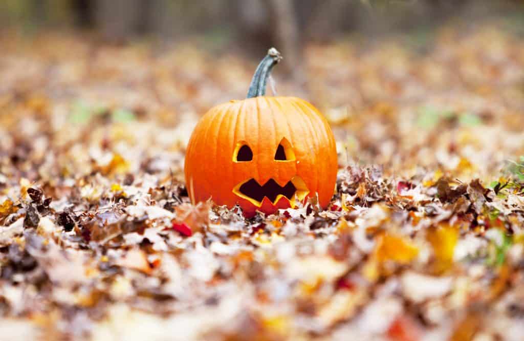 A carved pumpkin with a scary face sitting in a fall field.