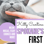spokane cat cafe