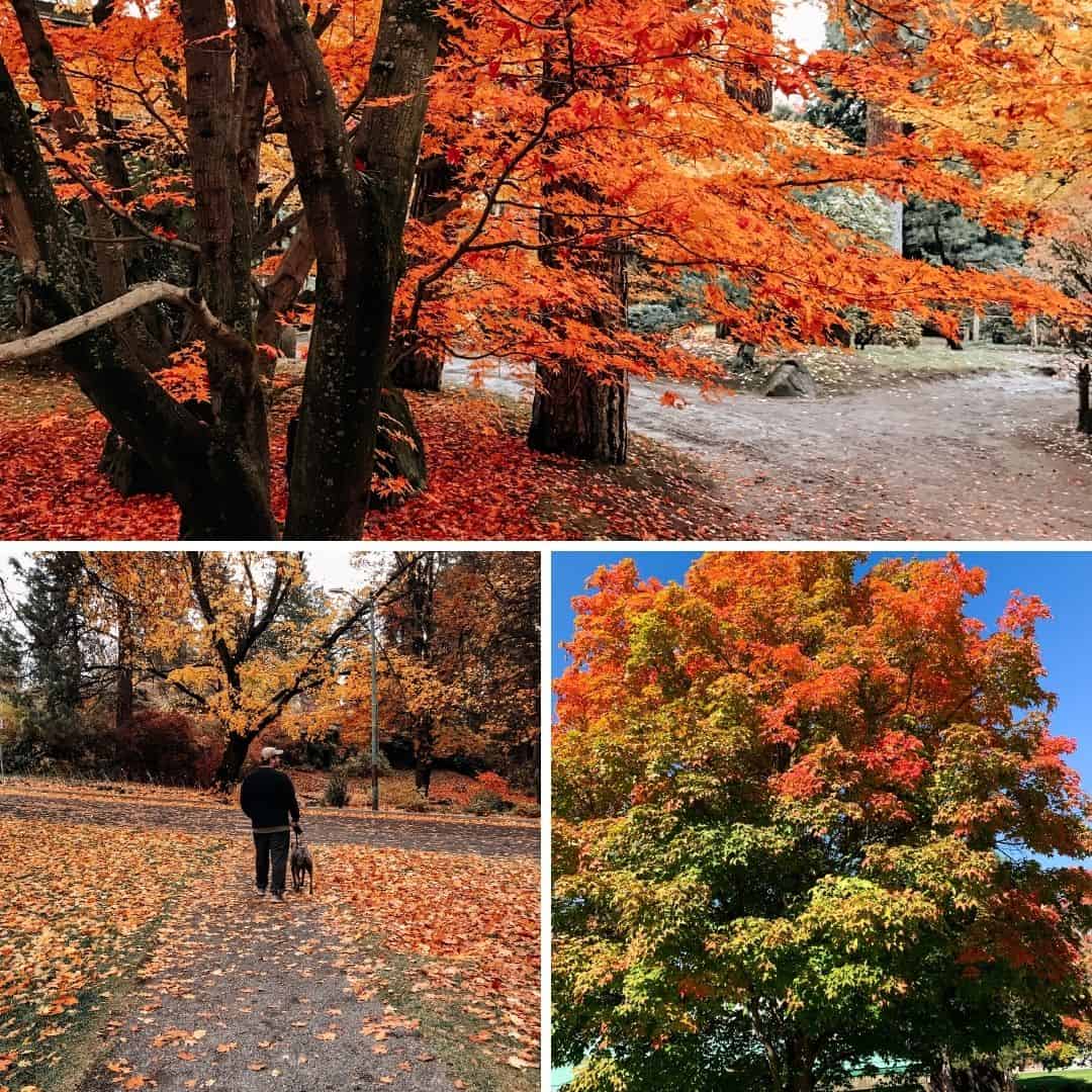 fall in spokane - manito park photos