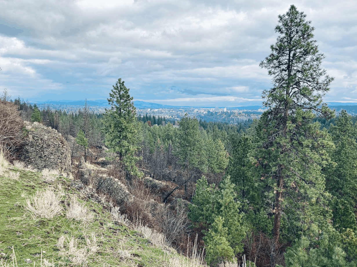 view of Rimrock Conservation Loop Trail-Palisades Park 