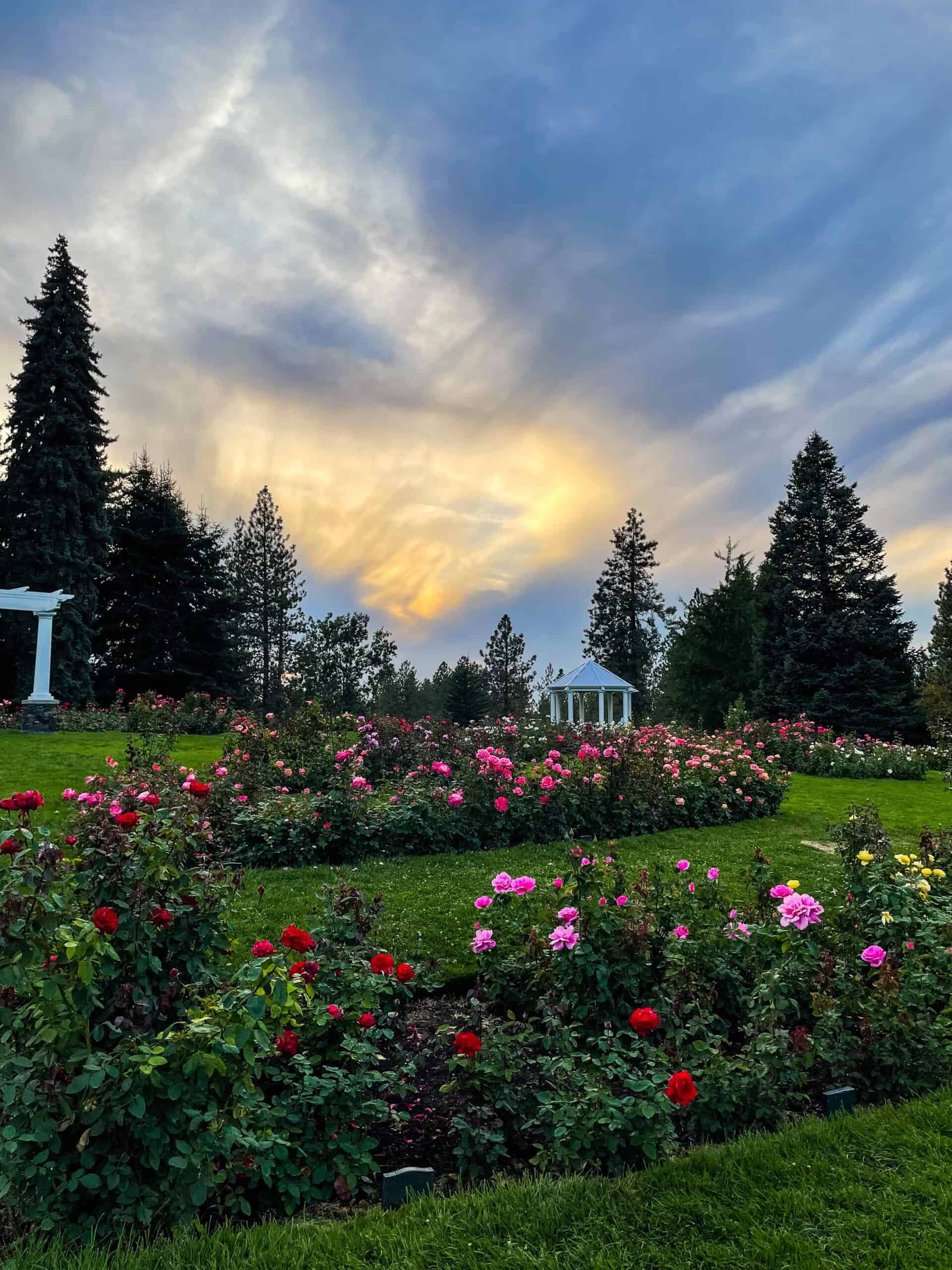 Sunset at Manito Park